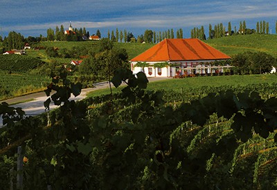 Winzerhaus Malek Puklavec Family Wines